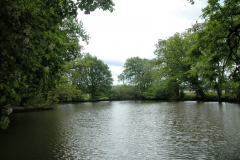 DSCN1068-1