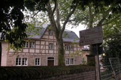 DSCN1884