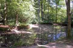 DSCN2002
