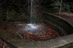 DSCN3773-1
